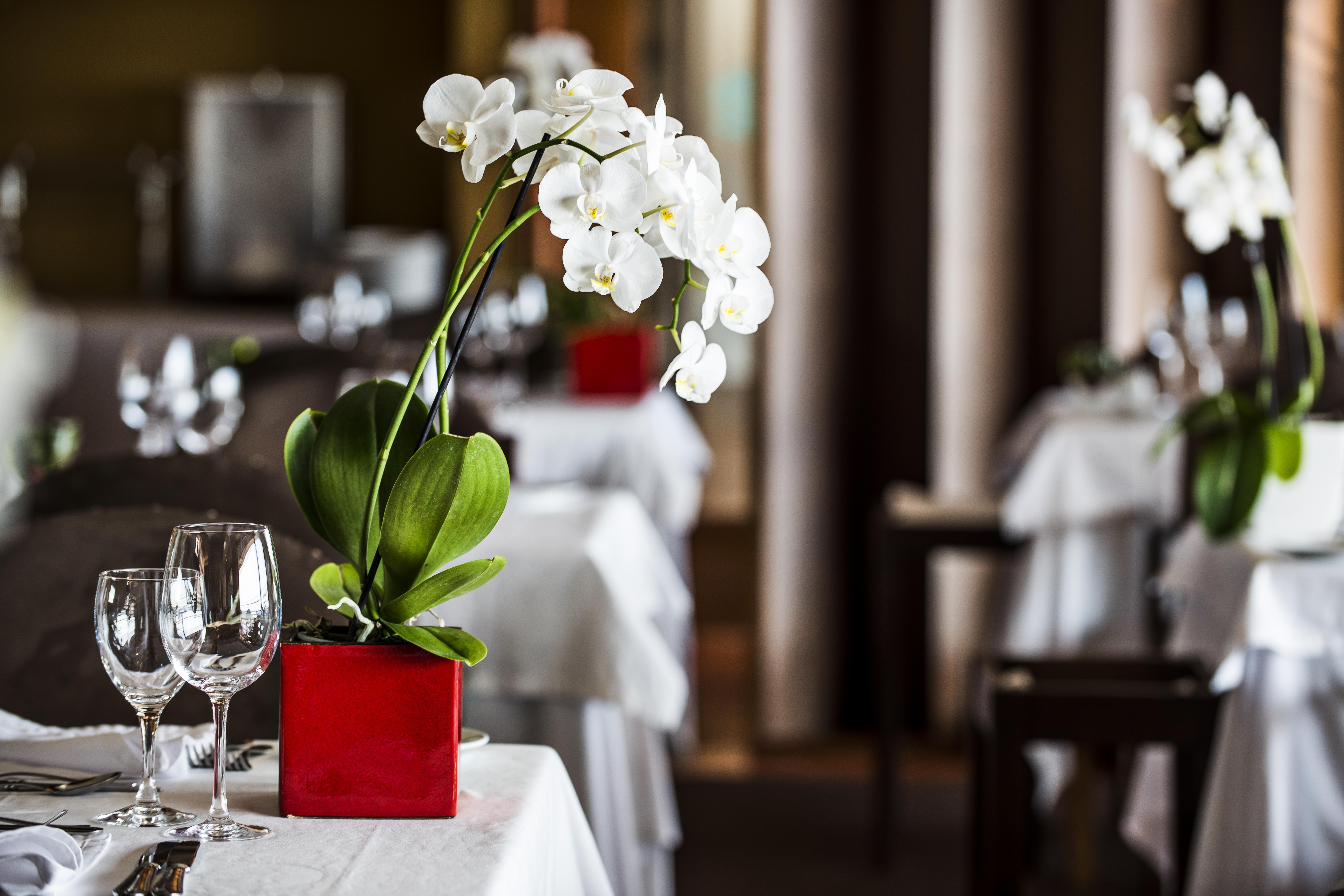 Sao Felix Hotel Hillside & Nature Повуа-де-Варзін Екстер'єр фото